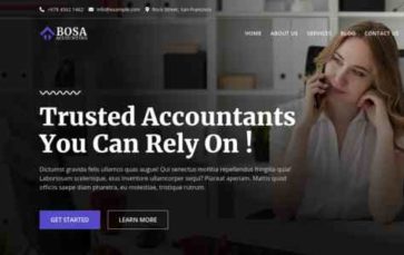 Bosa Accounting (screenshot desktop)