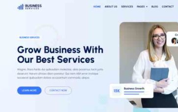 Bosa Business Services (screenshot desktop)