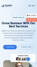 Bosa Business Services (screenshot mobile)