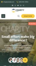 Bosa Charity Firm (screenshot mobile)