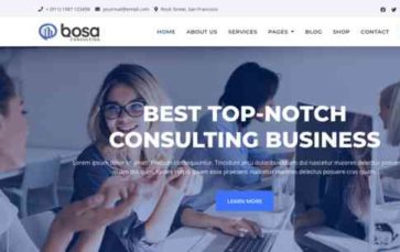 Bosa Consulting (screenshot desktop)
