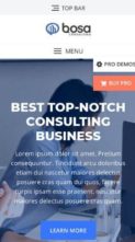 Bosa Consulting (screenshot mobile)
