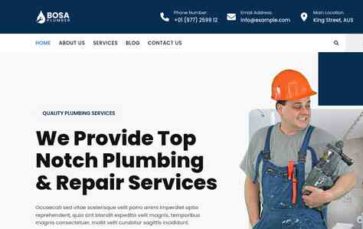 Bosa Plumber (screenshot desktop)