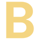 Author Icon
