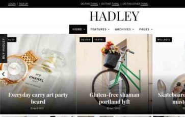 Hadley (screenshot desktop)