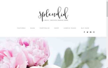 Splendid (screenshot desktop)