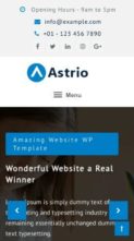 Screenshot Mobile Astrio Pro (screenshot mobile)