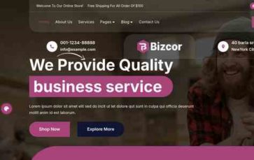 Bizcor Pro (screenshot desktop)