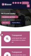 Bizcor Pro (screenshot mobile)