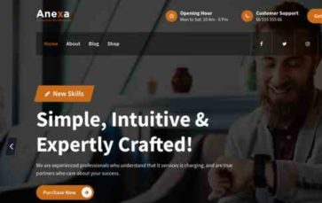 Anexa (screenshot desktop)