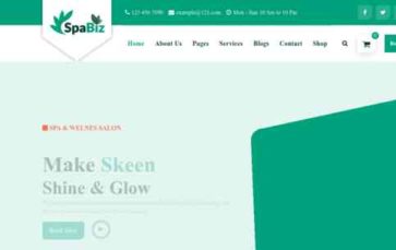 SpaBiz Pro (screenshot desktop)