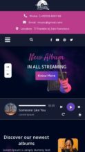 Ultimate Audio Streaming Pro (screenshot mobile)