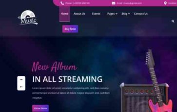 Ultimate Audio Streaming Pro (screenshot desktop)