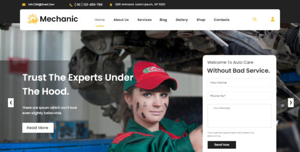 Automotive Mechanic Pro (Buy WP Themes)