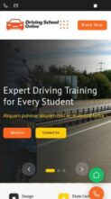 Driving School Academy Pro (screenshot mobile)
