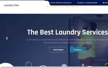 Laundry Care Pro (screenshot desktop)