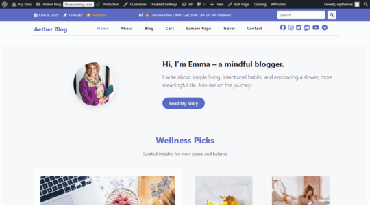 Aether Blog Pro (CA WP Themes)