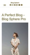 Blog Sphere Pro (screenshot mobile)