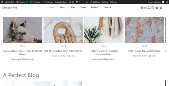 Glimpse Blog Pro (CA WP Themes)