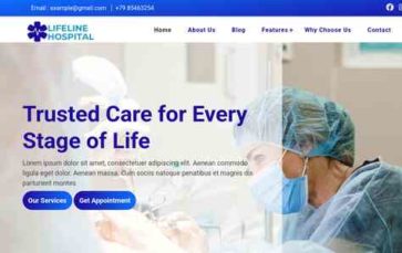 Lifeline Hospital Pro (screenshot desktop)