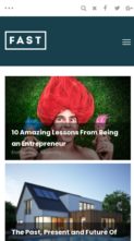 FastBlog (CactusThemes) (screenshot mobile)