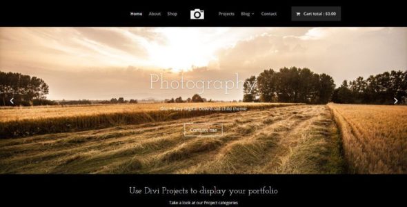 CT Photography (Candy Themes)