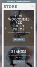 CT Store (screenshot mobile)