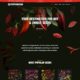 Divi Pepperseeds (Candy Themes)