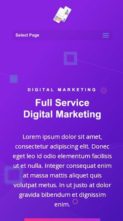 Screenshot Mobile ET Digital Marketing (screenshot mobile)
