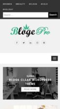 Bloge Pro (screenshot mobile)