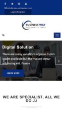 Business Way Pro (screenshot mobile)