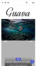 Guava (screenshot mobile)