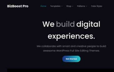 BizBoost Pro (screenshot desktop)