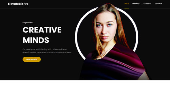 Elevatebiz Pro (Catch Themes)