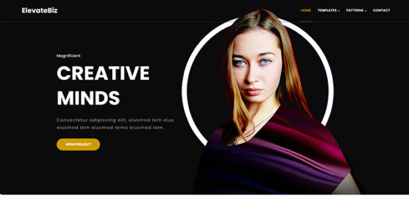 Elevatebiz (Catch Themes)