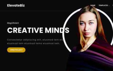 Elevatebiz (screenshot desktop)