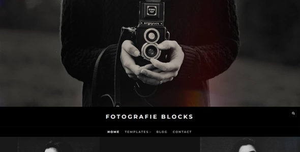 Fotografie Blocks (Catch Themes)