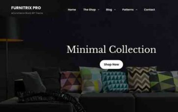 Furnitrix Pro (screenshot desktop)