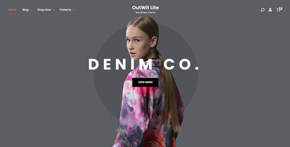 OutWit Lite (Catch Themes)