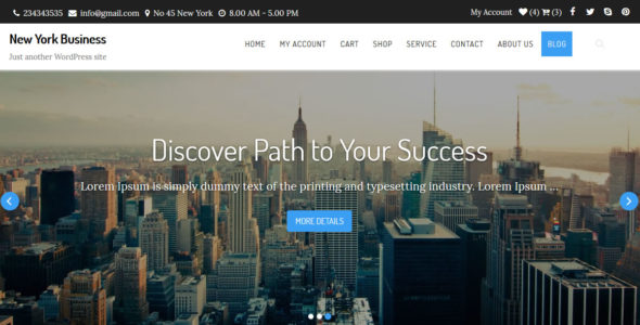 New York Business Pro (Ceylon Themes)