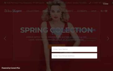 Screenshot Desktop WooShop (Cherry Theme) (screenshot desktop)