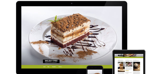 Delect Pro (Child Theme Styles)