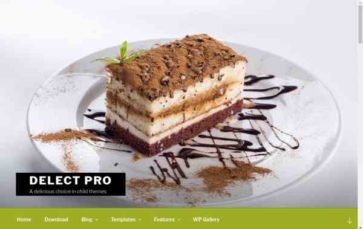 Delect Pro (screenshot desktop)