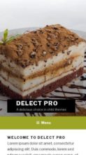 Delect Pro (screenshot mobile)