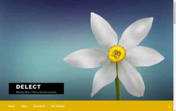 Delect (screenshot desktop)
