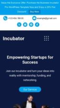 Business Incubator Pro (screenshot mobile)