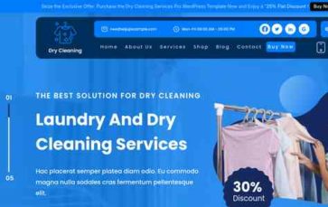 Dry Cleaning Services Pro (screenshot desktop)