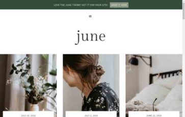 June (Coded Creative) (screenshot desktop)