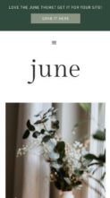 June (Coded Creative) (screenshot mobile)