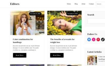 Editorx Pro (screenshot desktop)